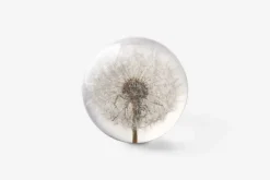 Hafod Grange Brevtyngd Flora* Dekorationsdetaljer