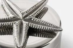 Svenskt Tenn Burk Sjöstjärna* Dekorationsdetaljer|Tenndekorationer