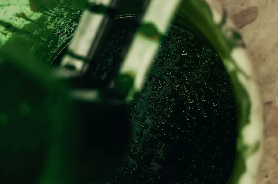 Josef Frank Dyna Fåtölj 311* Dynor