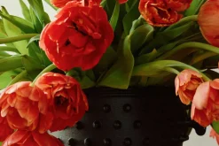 Josef Frank Kruka Hortus* Vaser|Krukor & Krukfat