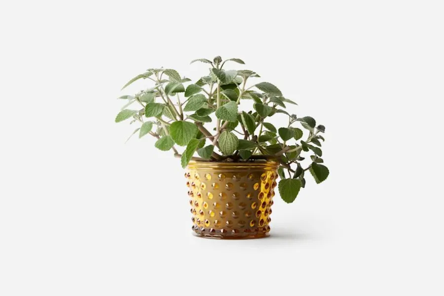 Josef Frank Kruka Hortus* Vaser|Krukor & Krukfat