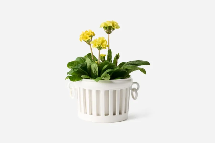 Bourg Joly Malicorne Kruka Malicorne Sur Sarthe* Krukor & Krukfat