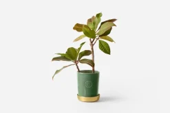 Erika Pekkari Kruka Tolvekarna* Krukor & Krukfat