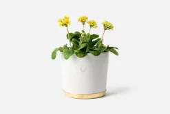 Erika Pekkari Kruka Tolvekarna* Krukor & Krukfat