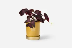 Erika Pekkari Kruka Tolvekarna* Krukor & Krukfat