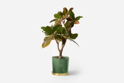 Erika Pekkari Kruka Tolvekarna* Krukor & Krukfat