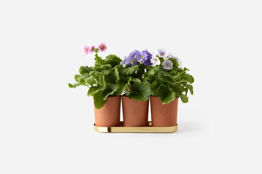 Erika Pekkari Kruka Tolvekarna* Krukor & Krukfat