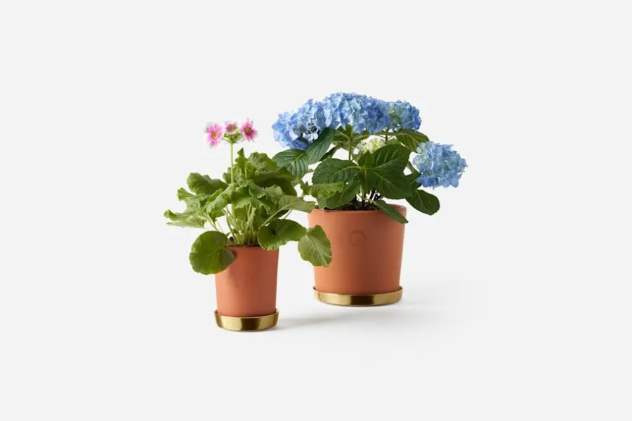 Erika Pekkari Kruka Tolvekarna* Krukor & Krukfat