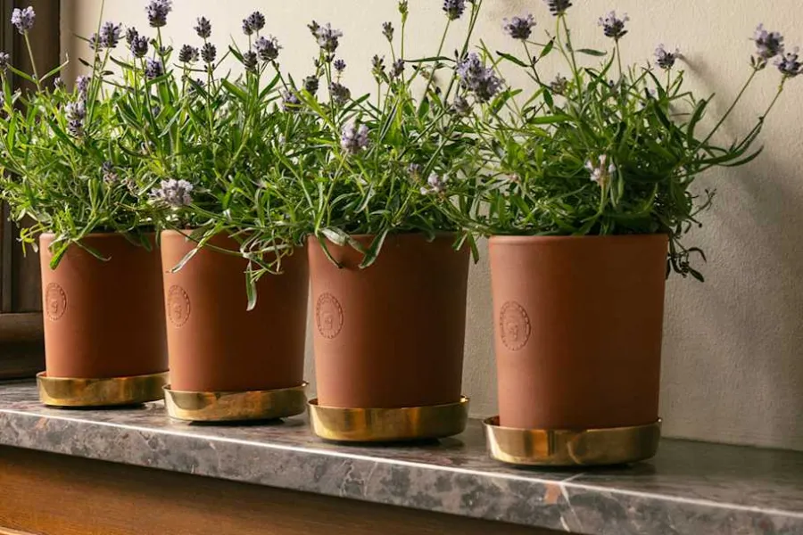 Erika Pekkari Kruka Tolvekarna* Krukor & Krukfat