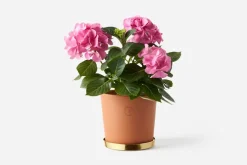 Erika Pekkari Kruka Tolvekarna* Krukor & Krukfat