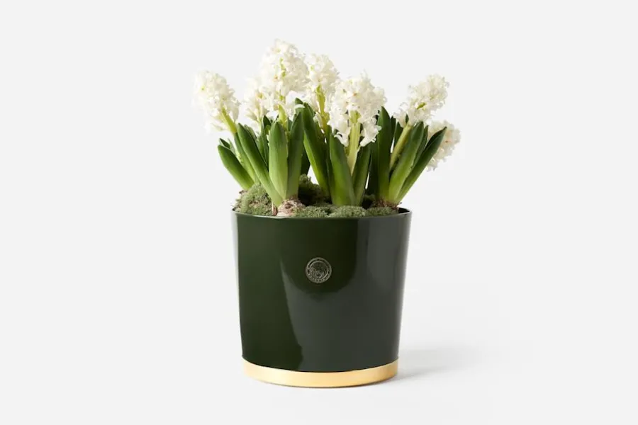 Erika Pekkari Kruka Tolvekarna* Krukor & Krukfat