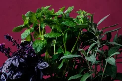 Erika Pekkari Krukfat* Krukor & Krukfat