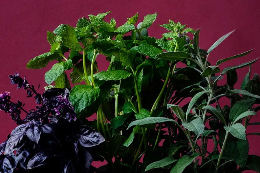 Erika Pekkari Krukfat* Krukor & Krukfat