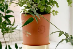 Erika Pekkari Krukfat* Krukor & Krukfat