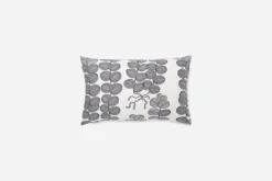 Josef Frank/Svenskt Tenn Kudde Celotocaulis* Kuddar