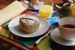 Jakob Solgren Nordenskiöld Osthyvel Gren* Dukningsdetaljer I Tenn|Bestick