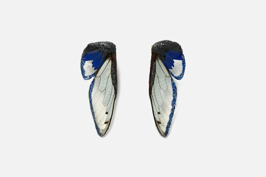 Märta Mattsson Örhänge Cicada Vingar* Smycken