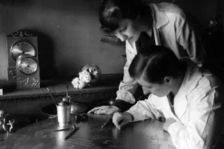 Jakob Solgren Nordenskiöld Smörkniv Gren* Dukningsdetaljer|Bestick