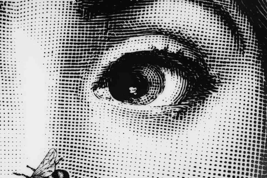 Fornasetti Tallrik* Dekorationsdetaljer|Tallrikar & Skålar