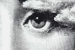 Fornasetti Tallrik* Dekorationsdetaljer|Tallrikar & Skålar