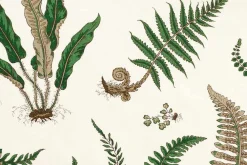 GP & J Baker Tygprov Stensöta* Tygprover|Tyg På Metervara