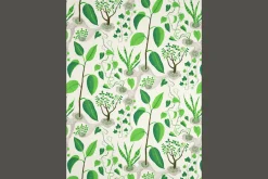 Josef Frank Tygprov Window* Tygprover