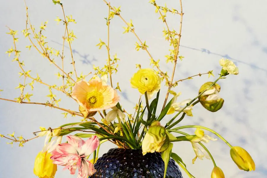 Carina Seth Andersson Vas Dagg* Vaser