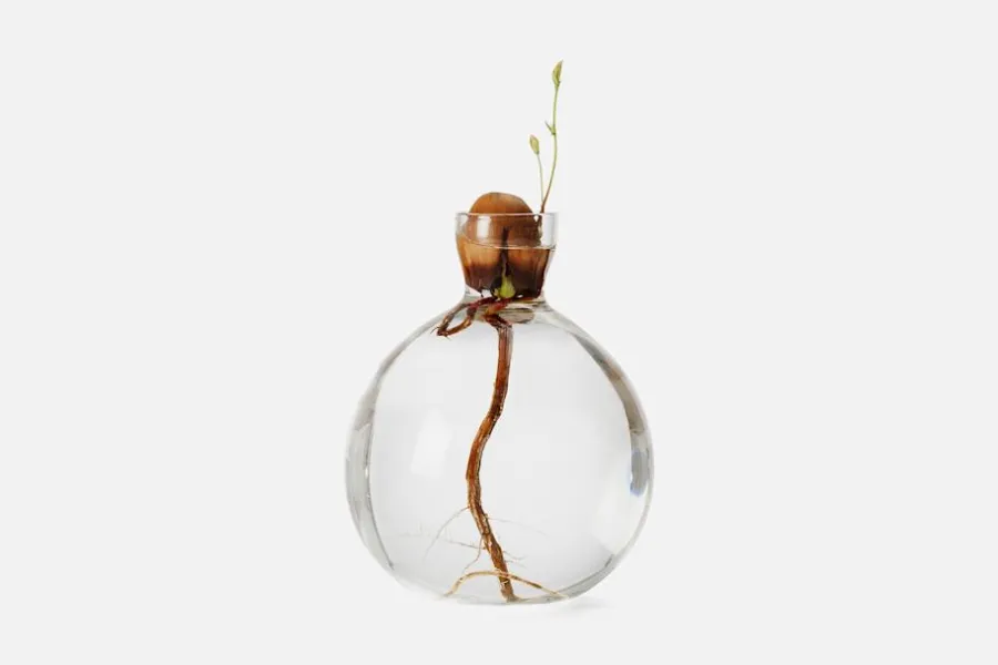 Estrid Ericson Vas Ekollon* Vaser|Dukningsdetaljer