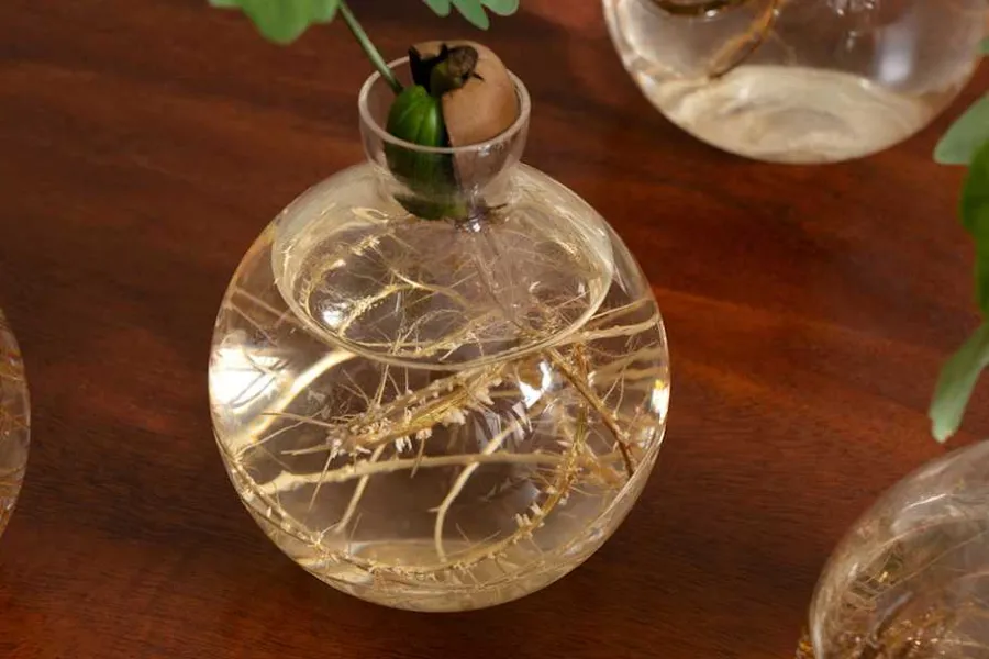 Estrid Ericson Vas Ekollon* Vaser|Dukningsdetaljer