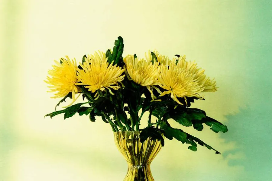 Ann Wåhlström Vas Iris* Vaser