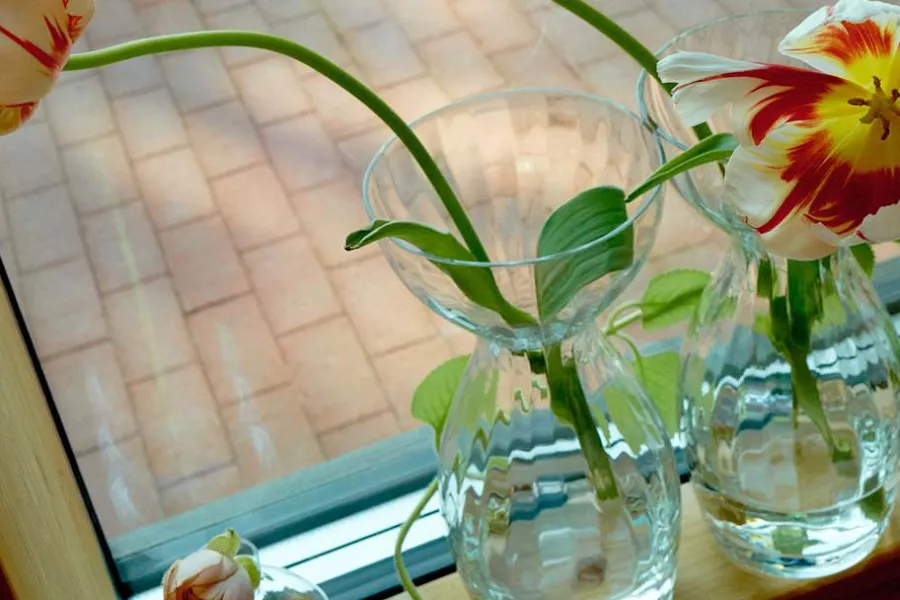 Ann Wåhlström Vas Iris* Vaser