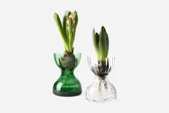 Ann Wåhlström Vas Iris* Vaser