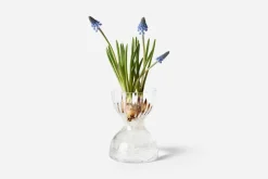 Ann Wåhlström Vas Iris* Vaser