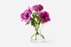 Ann Wåhlström Vas Iris* Vaser