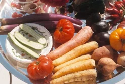 Josef Frank Vas Nr 5* Vaser