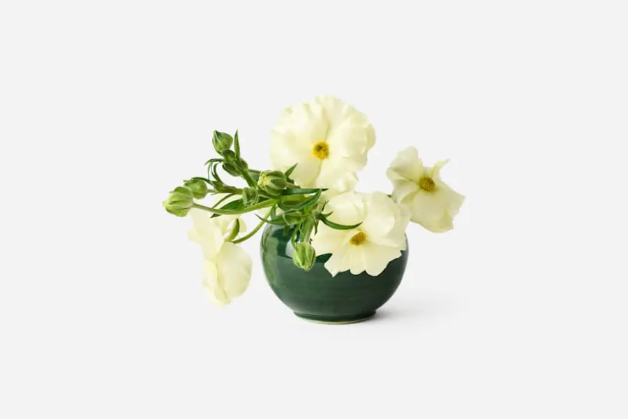 Annali Shulin Andersson Vas Oribegrön* Vaser