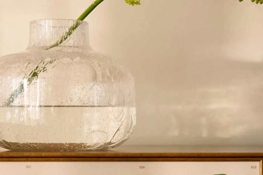 Carina Seth Andersson Vas Pomona* Vaser