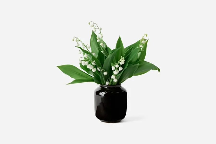 Annali Shulin Andersson Vas Temmokusvart* Vaser