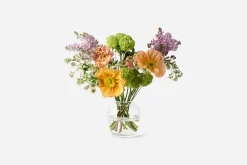 Josef Frank Vas Urna* Vaser